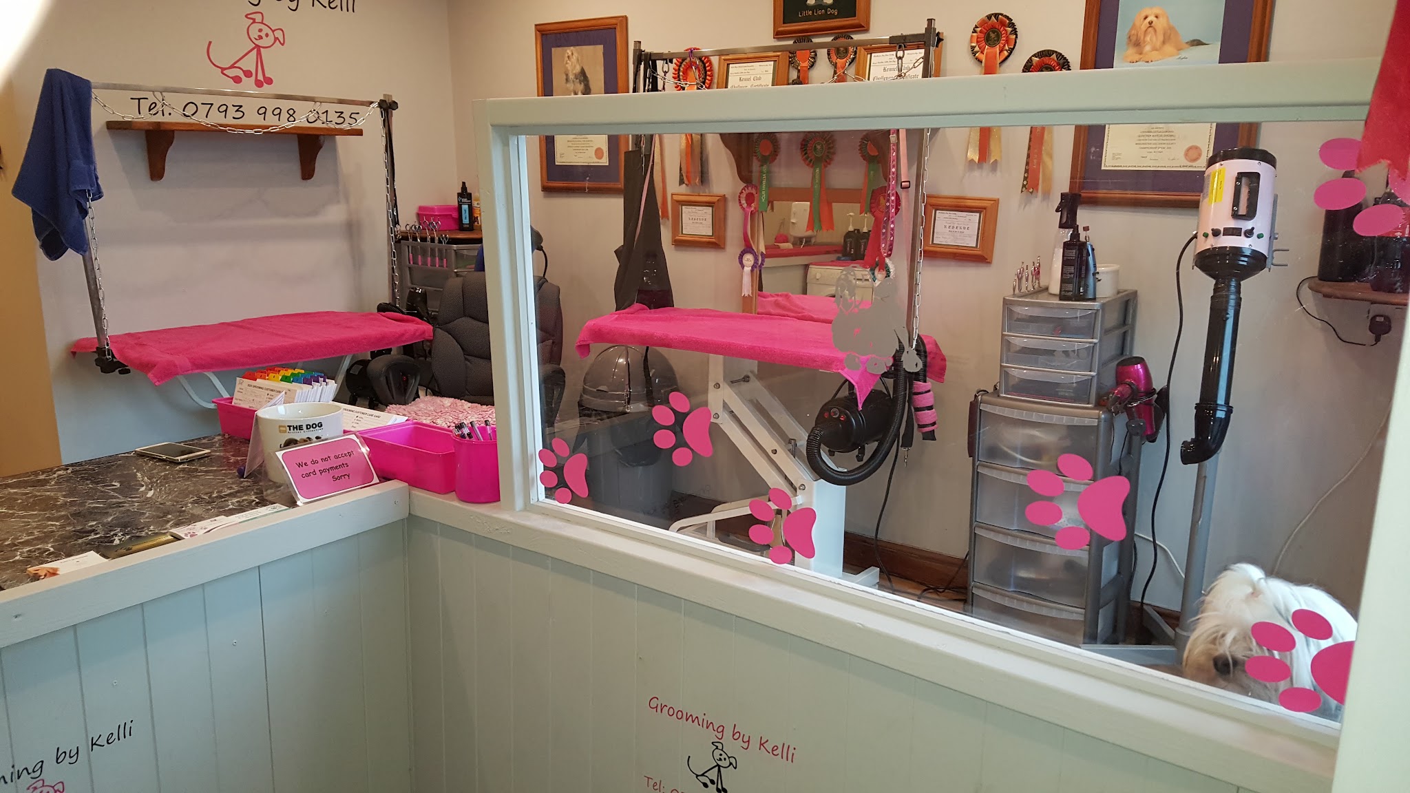 Inside Grooming by Kelli, with pink grooming tables and the business name on the partition